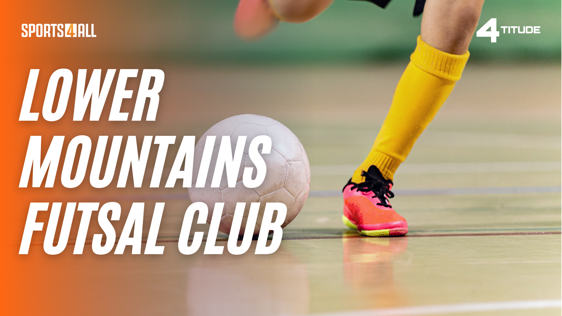 lower blue mountains futsal disability